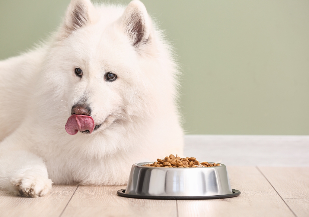 Fresh wholesome ingredients for dogs